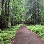 Purisima Creek Redwoods Open Space Preserve