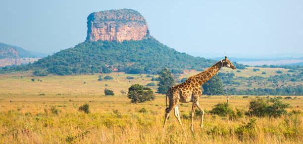 d950f2e1-5a2f-4625-b3cc-2d76490ae378