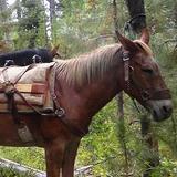 Big Rock Dude Ranch at Ponderosa LLC