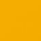 Daffodil