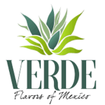 Verde - Flavors of Mexico