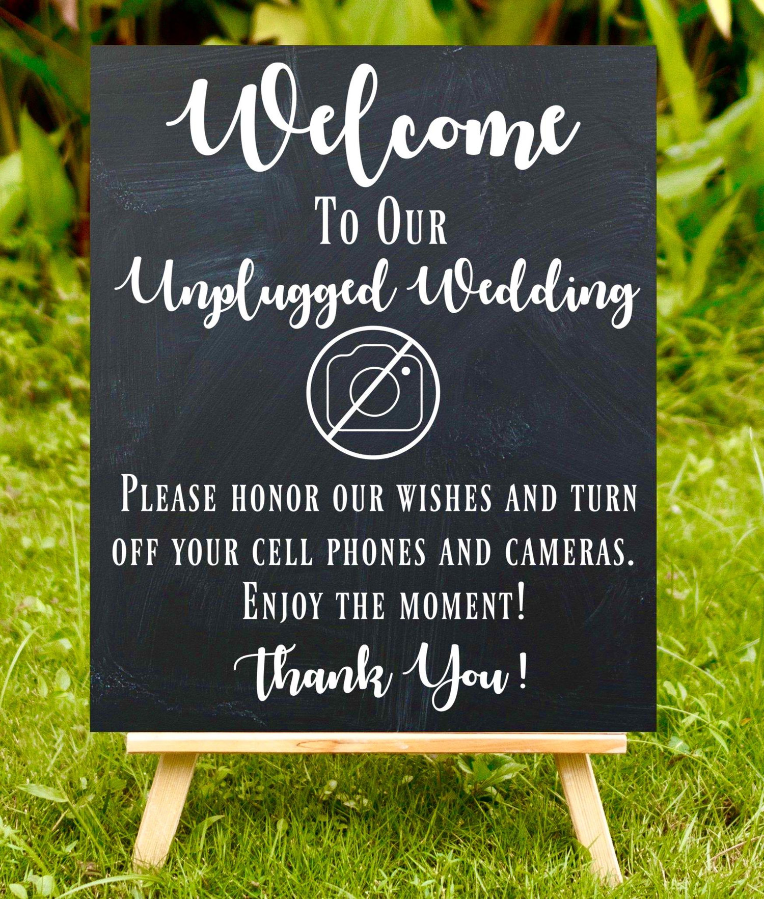The Wedding Website of Malia Bean and Corey Ploum