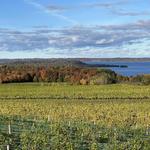 Traverse Wine Coast