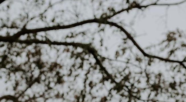 Footer image