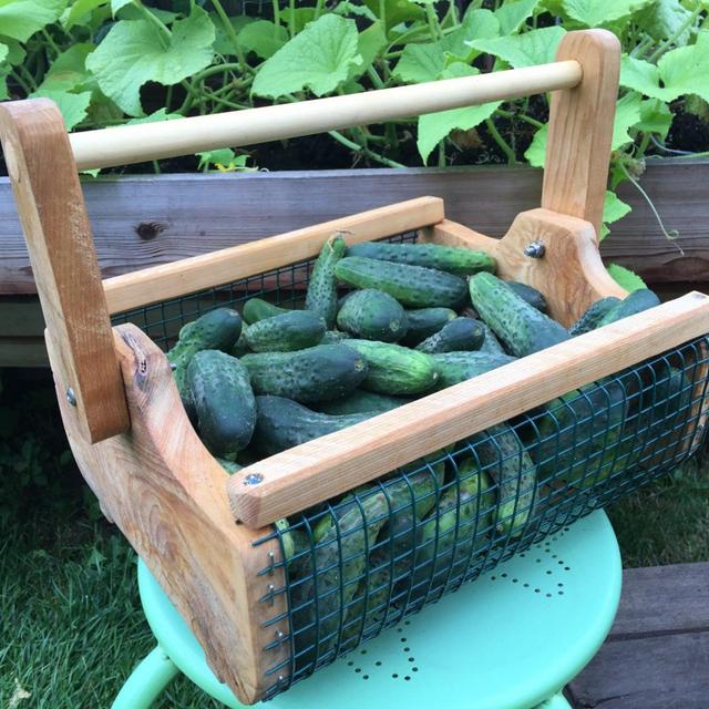 Small Light Weight Cedar Garden Basket