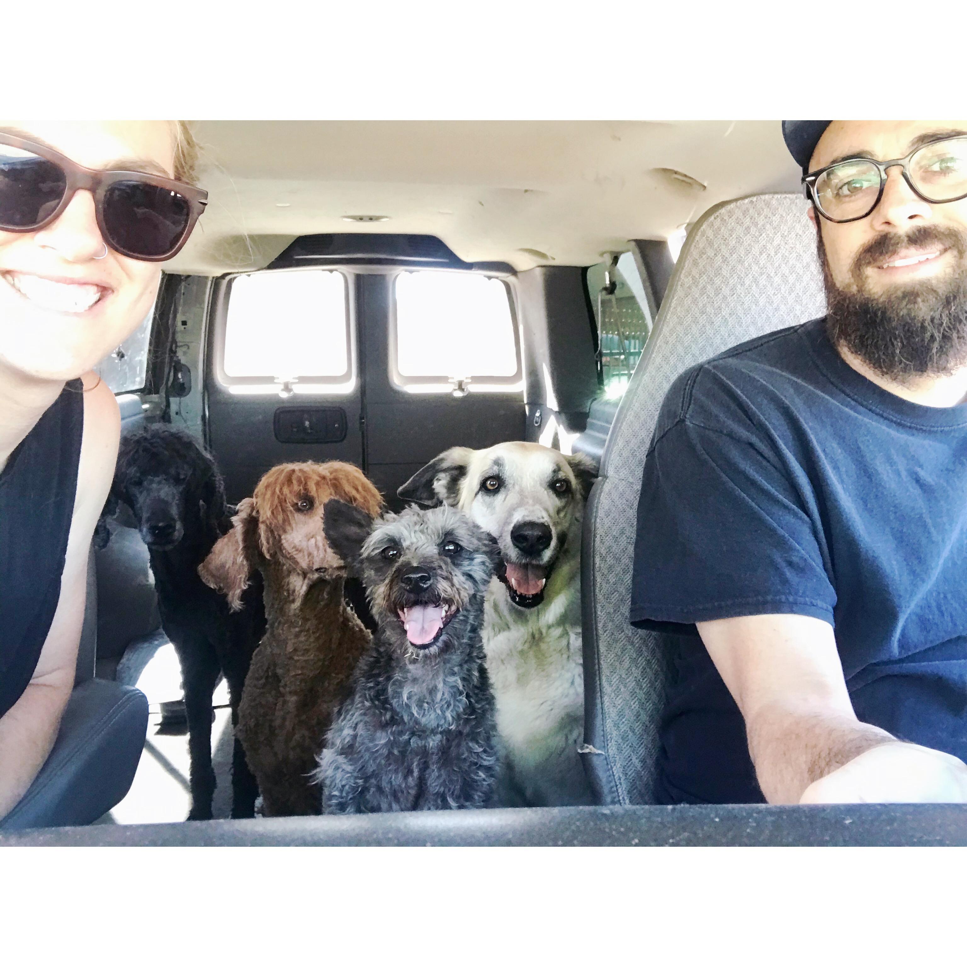 d9575911-66b3-40da-93a5-6eb408a6766d