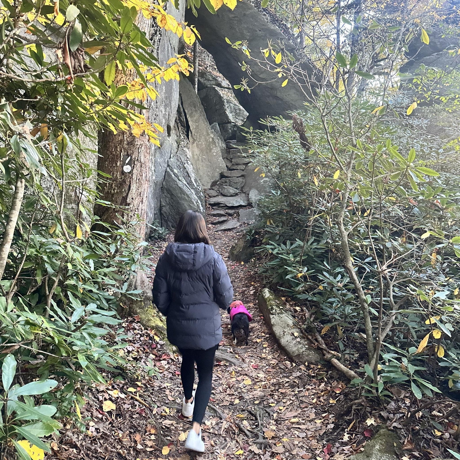 On her way to get engaged!