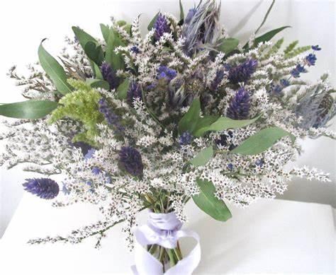 The Wedding Website of Jayne Sneath and Christine Redfield