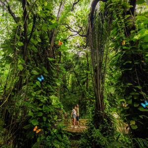 Xcaret Eco-Park + Dinner