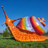 The Morton Arboretum