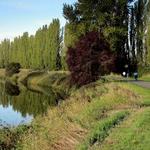 Sammamish River Trail