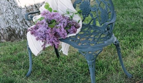 The Wedding Website of Elise Taylor and Joseph Kilcoyne