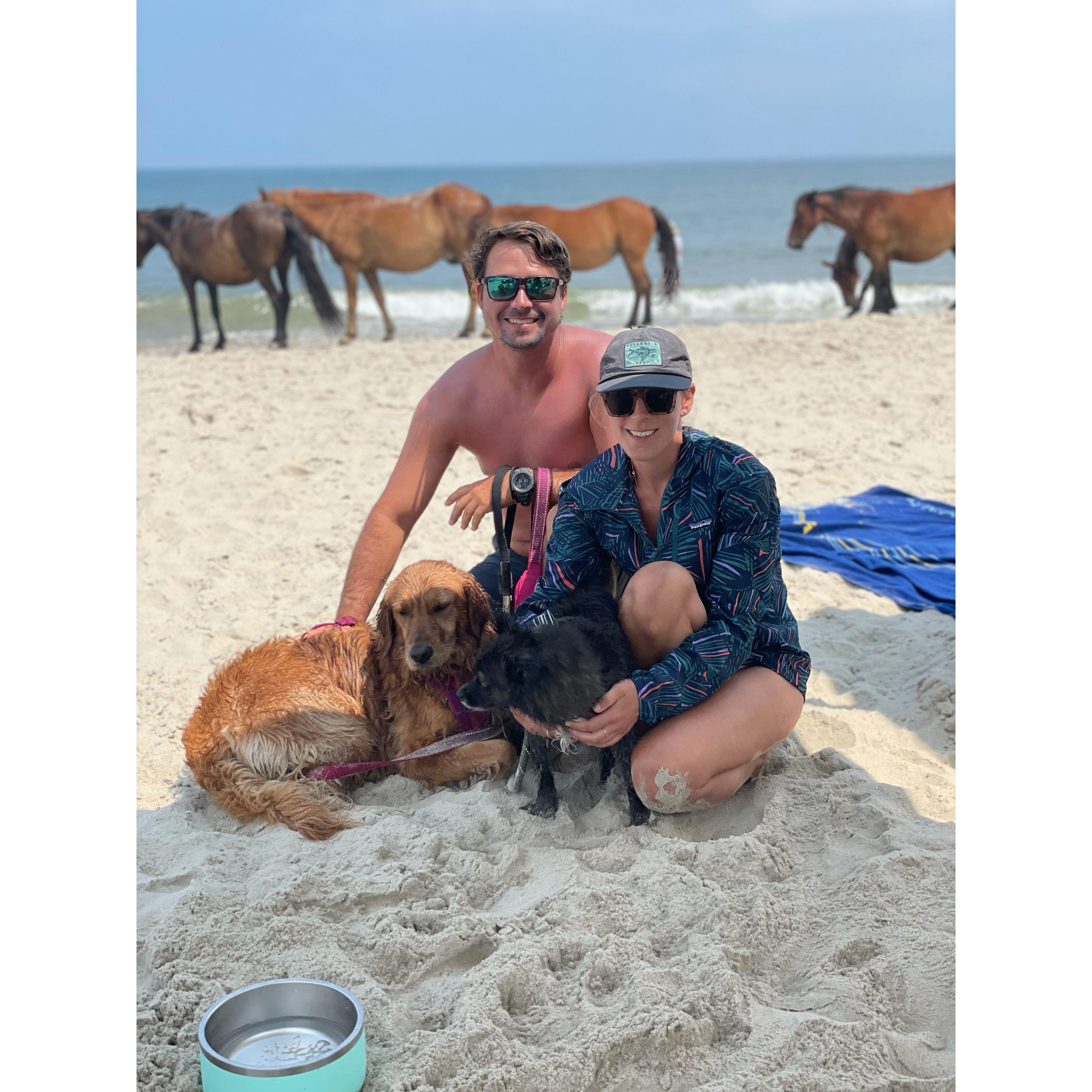 Corolla, NC