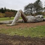 The Morton Arboretum