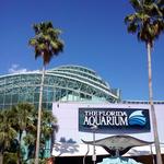 The Florida Aquarium