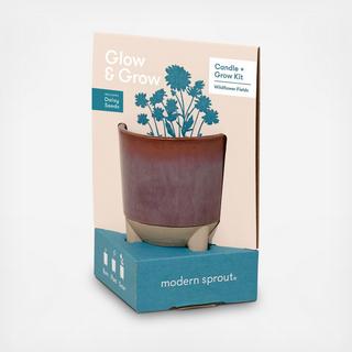 Daisy Candle & Grow Kit