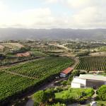 Quinta de San Michel