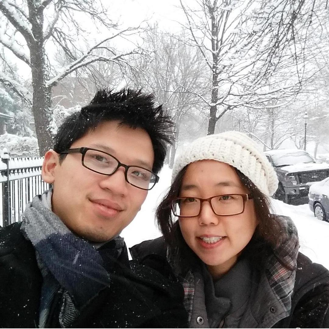 Midwest winter - Chicago (Logan Square), IL. 2015