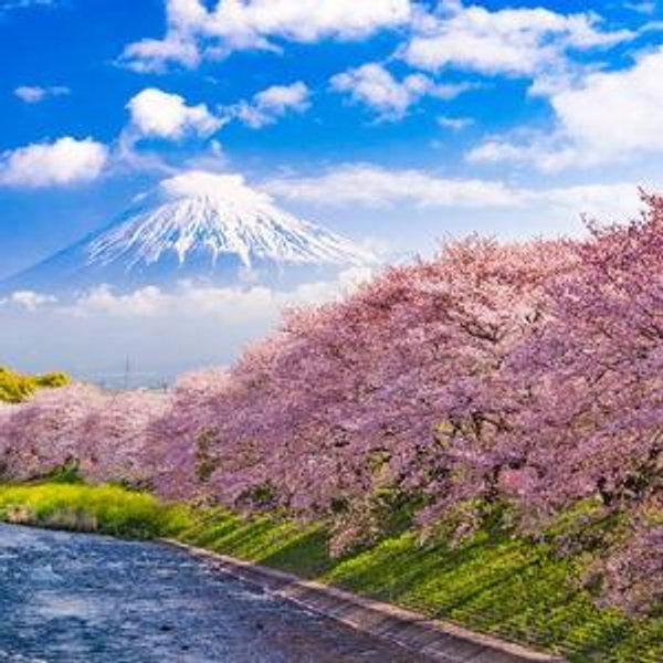 Mt. Fuji, Japan