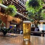 Casual Animal Brewing Co