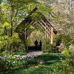 Memphis Botanic Garden