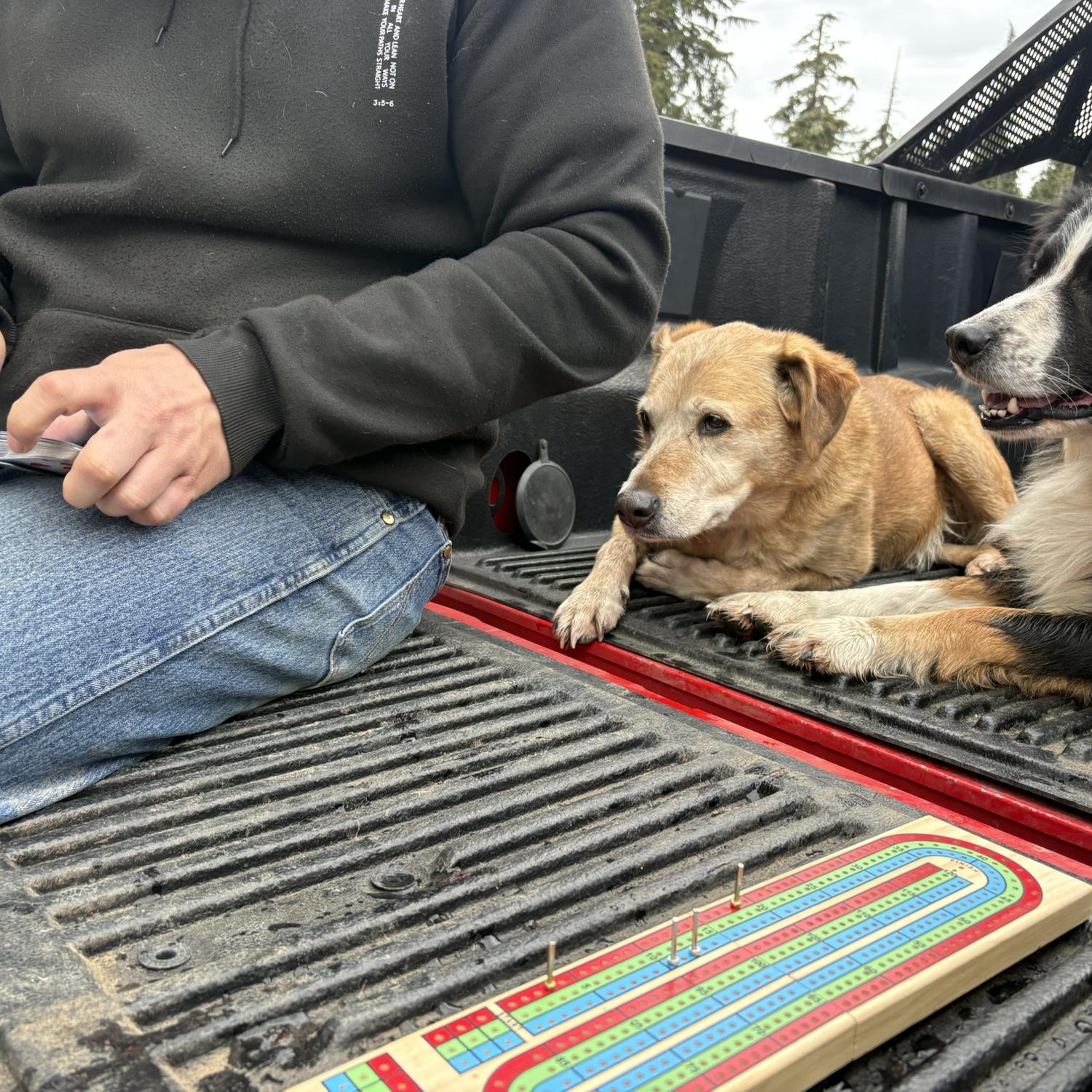 We don’t go anywhere without our cribbage board!! Ya never know when I’ll feel like skunking his booty