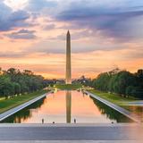 Sight See in D.C.