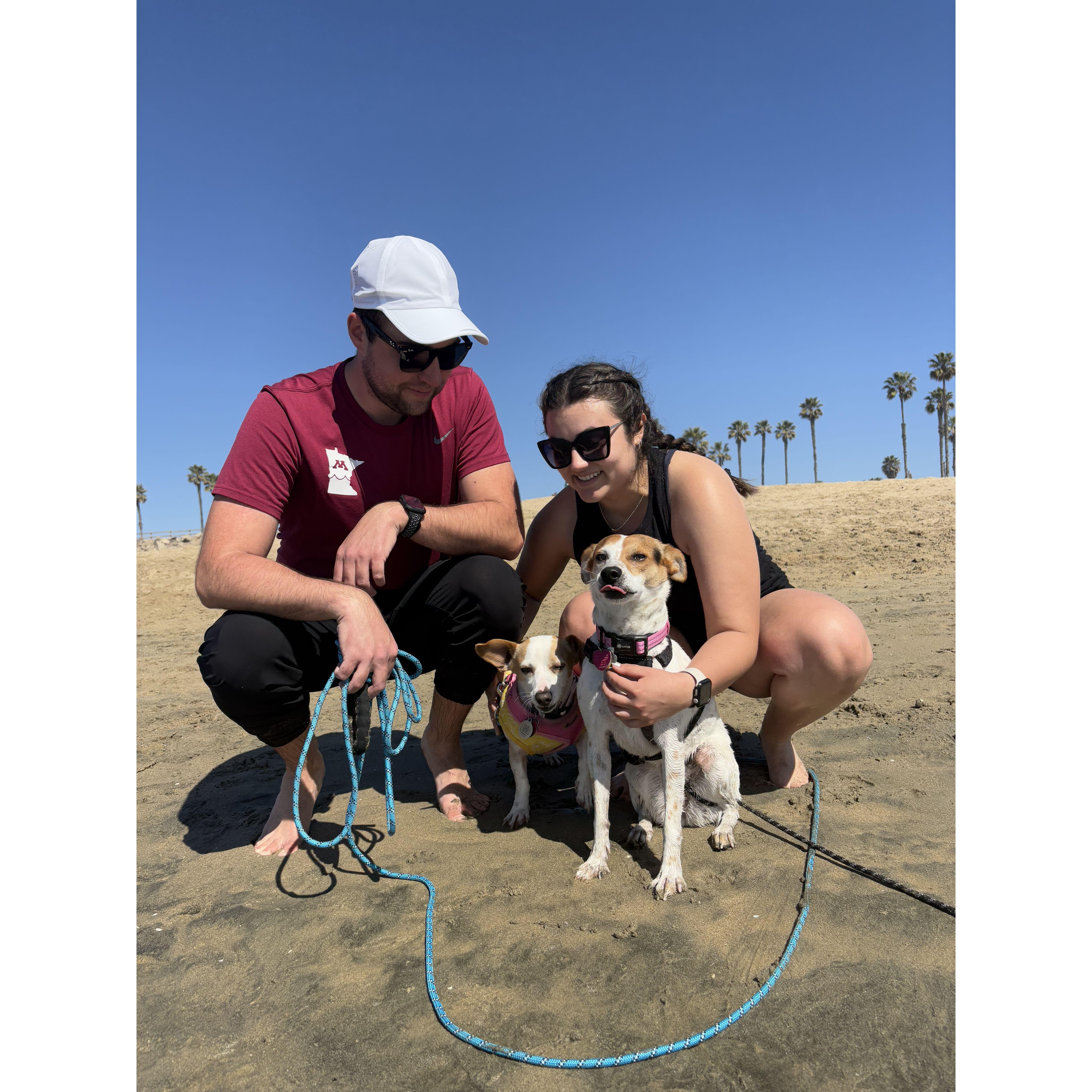 The biggest dog lovers around!