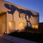 Museum of the Rockies
