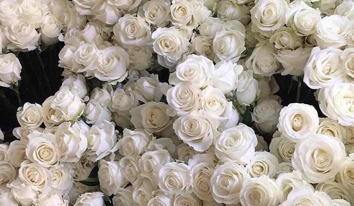 The Wedding Website of Taylor Ogle and Tristan Ogle Sr.