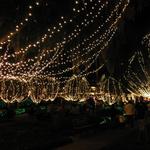 Mount Dora Christmas Lights