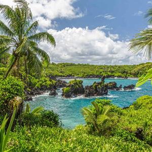 Our Hawaii Honeymoon Fund