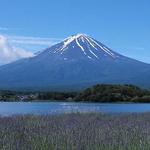 (FUJI)Oishi Park
