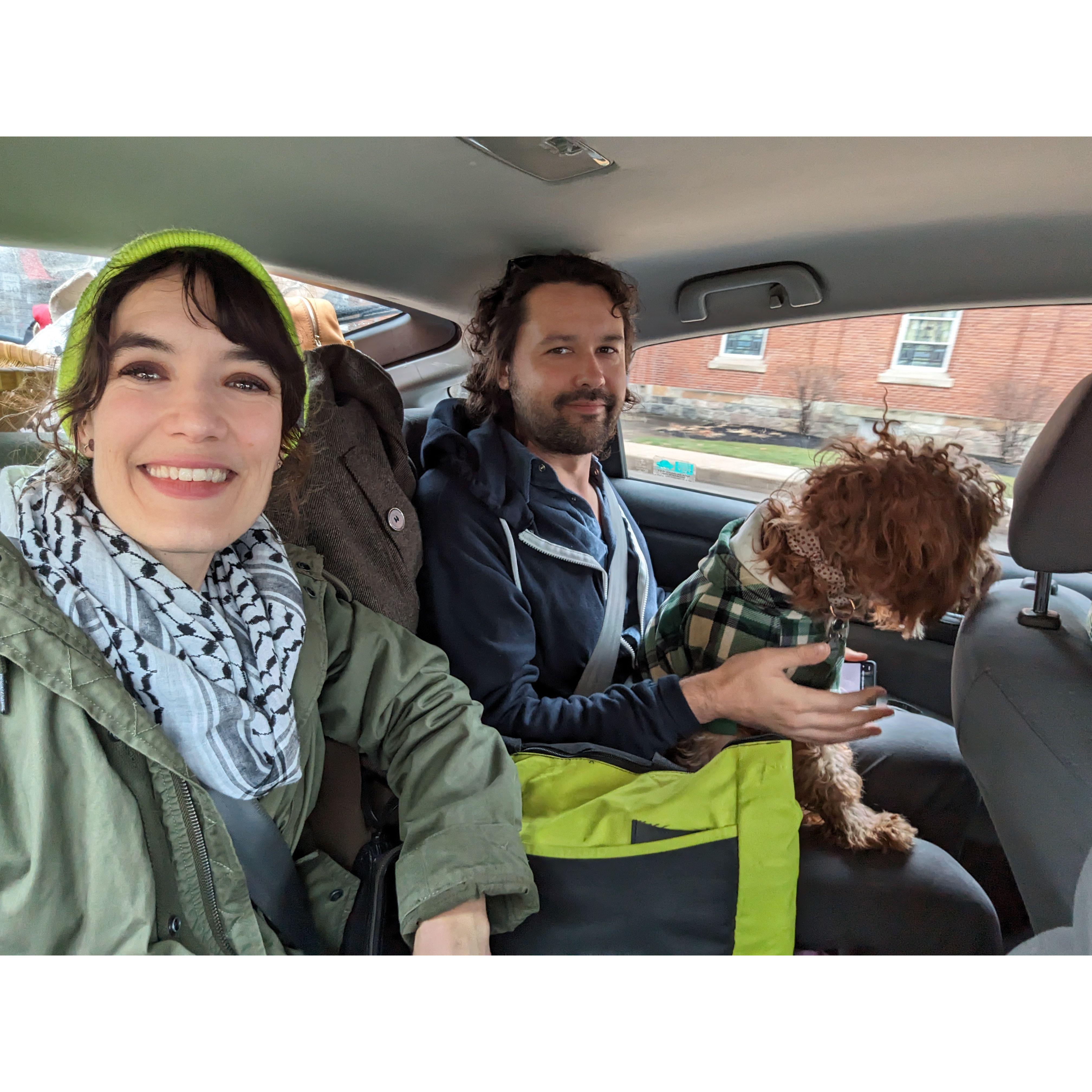 christmas road trip with Theodora, the dog, 2023