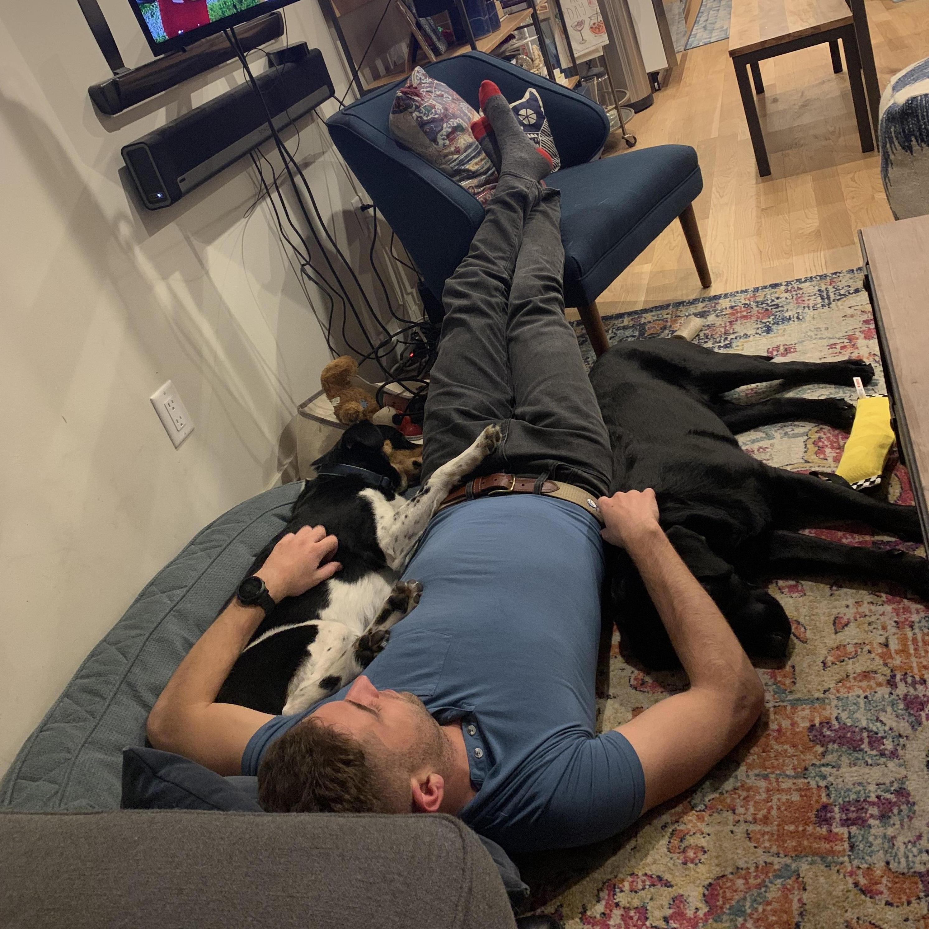 Puppy Snuggles - Boston 2020