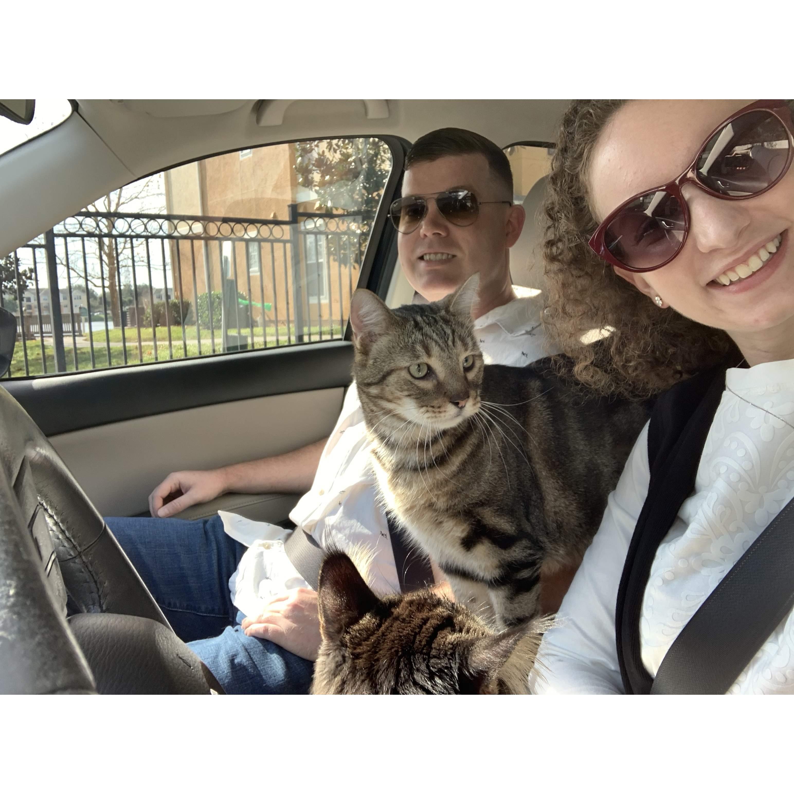 First road trip with both cats.