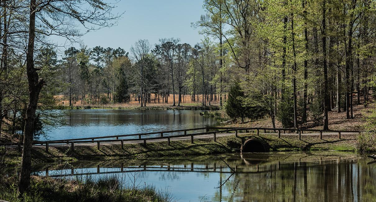 The Wedding Website of Caroline Grose and Wade Law III