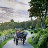Private Carriage Tour - this is designed for 2-5 people,is more expensive, but personalized.