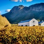 Franschhoek
