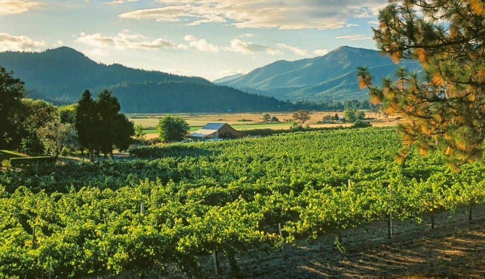 The Wedding Website of Dylan Nichols and Alex Solomon