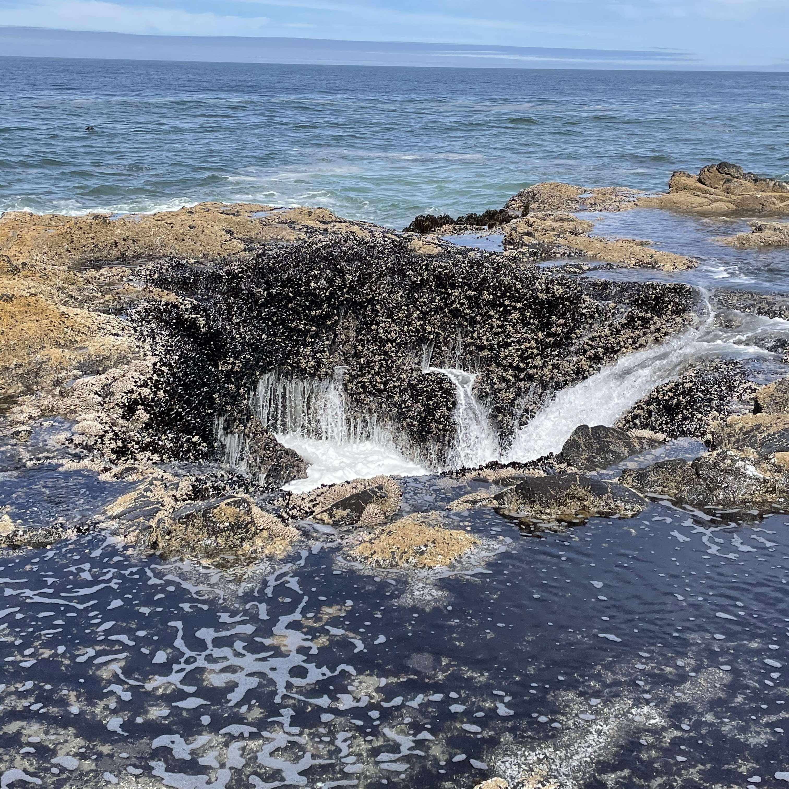 Pacific NW Trip 2021