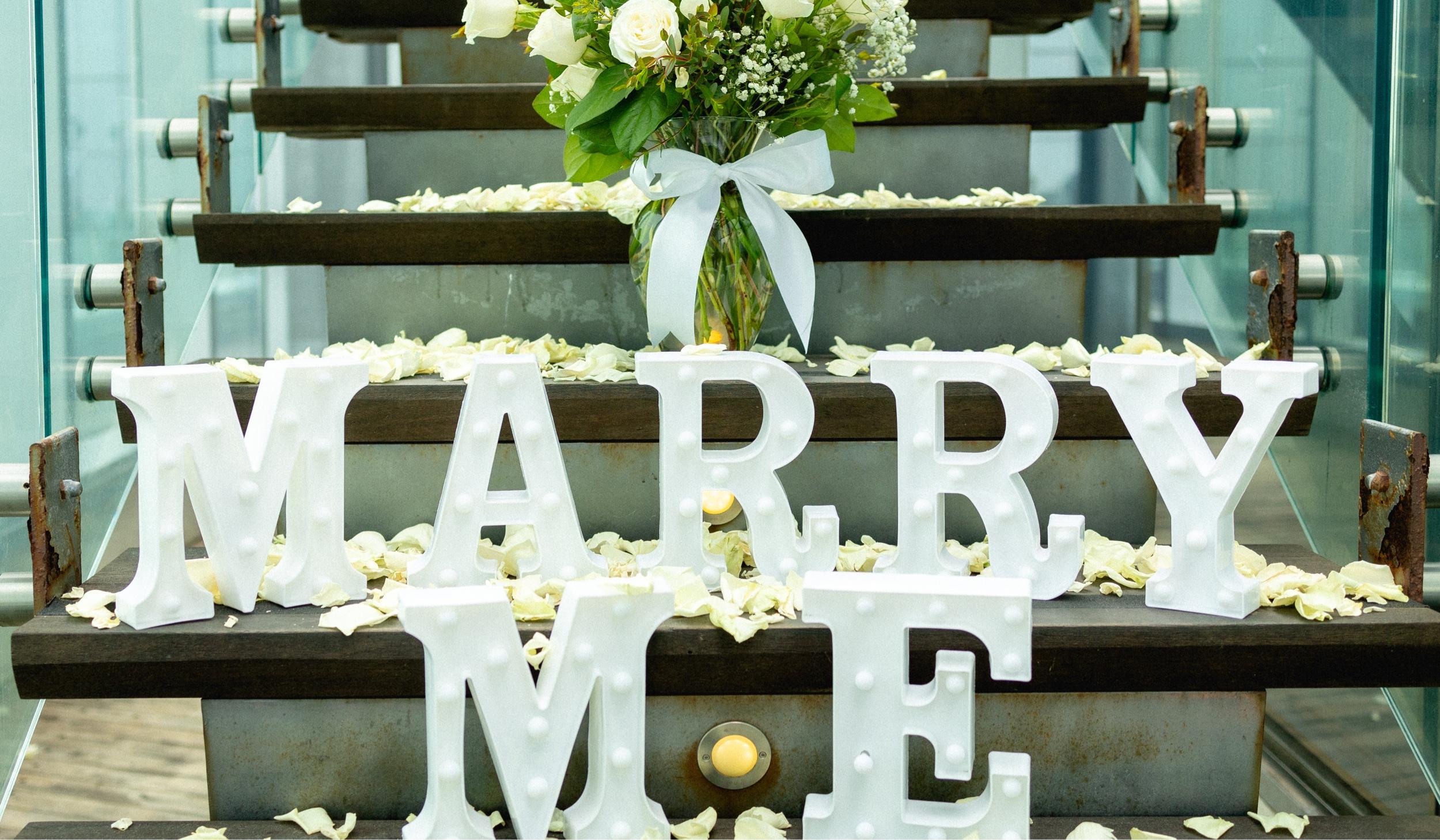 The Wedding Website of Jennifer Alleman and Nicholas Koshofer