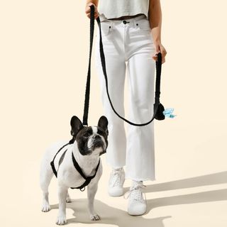 Teddy Small Harness & Leash Walk Set