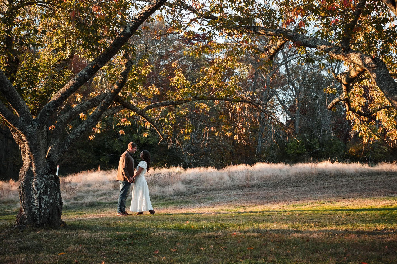 The Wedding Website of Daniella Castillo and John Fearon