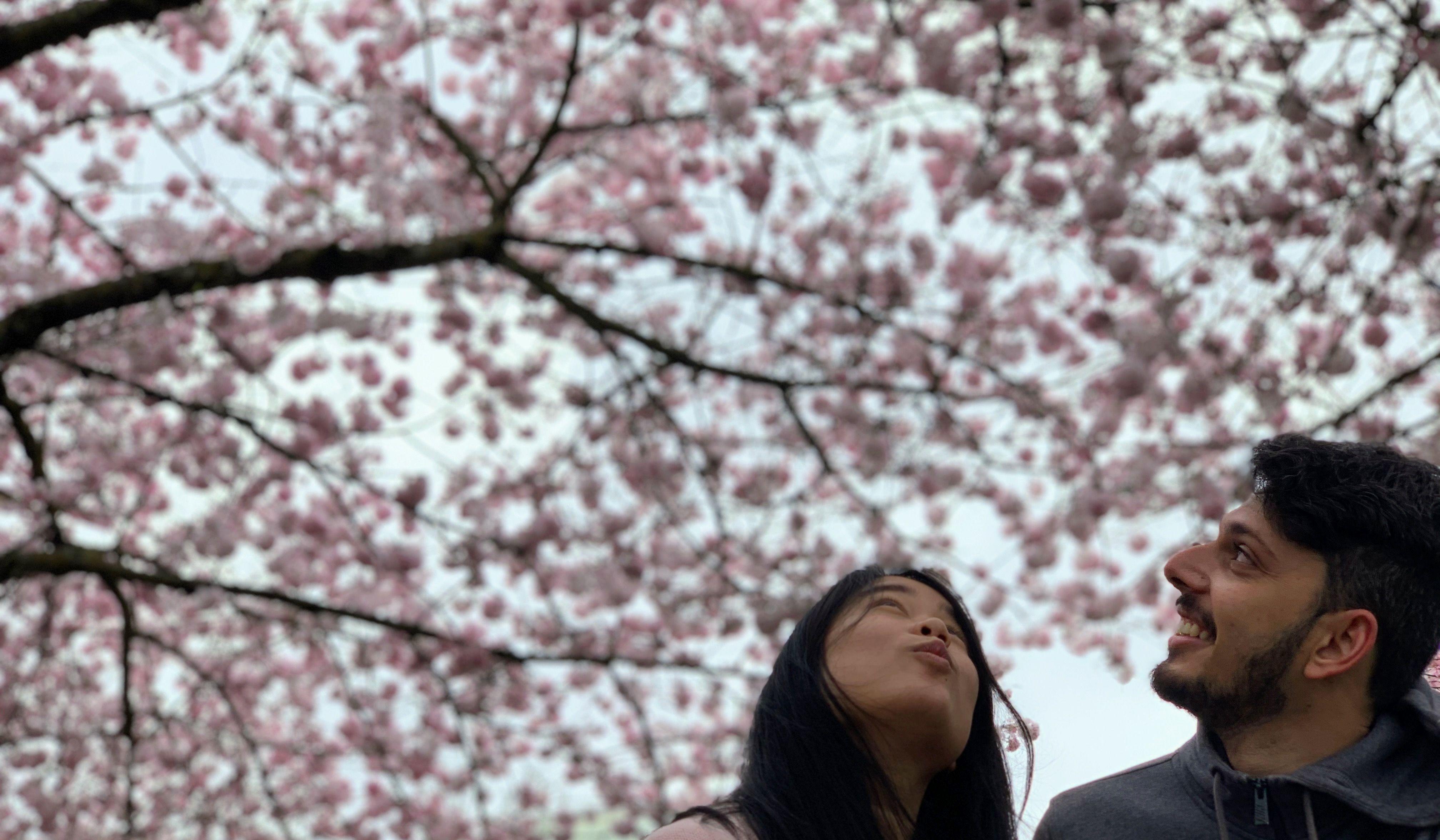 Hero Slideshow Image 0