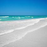 Siesta Key Beach & Downtown