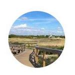 Plum Island