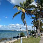 Bird Key Park