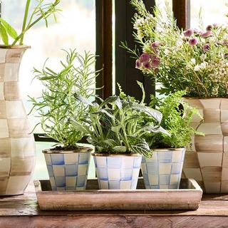 Sky Check Herb Pot, Set of 3