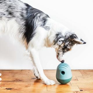 The Game Treat Dispensing Dog Toy